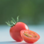 完熟トマト3種詰め合わせ１ｋｇ